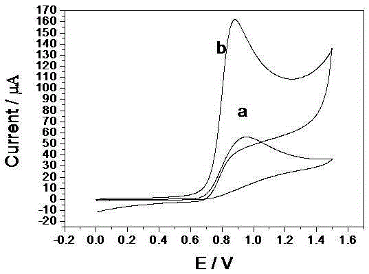 Preparation method and application of nano-wire/nano-particle modified electrode