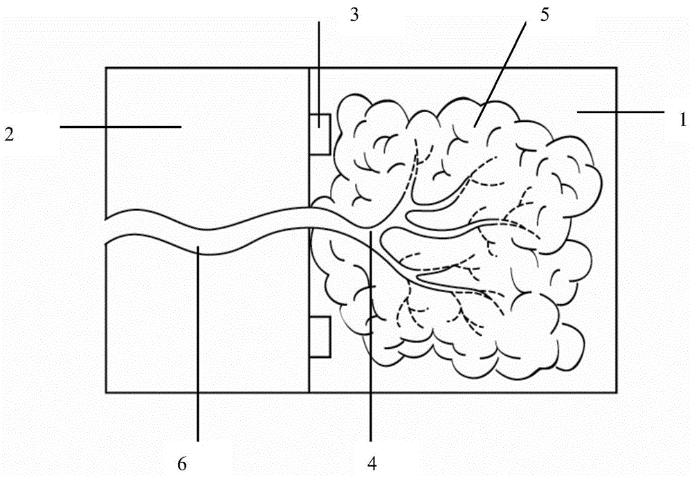 Simulated major salivary gland model device and preparation method thereof