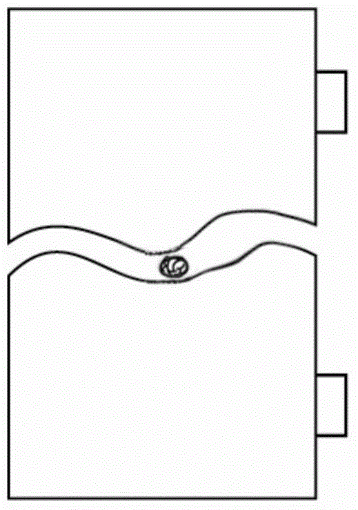 Simulated major salivary gland model device and preparation method thereof