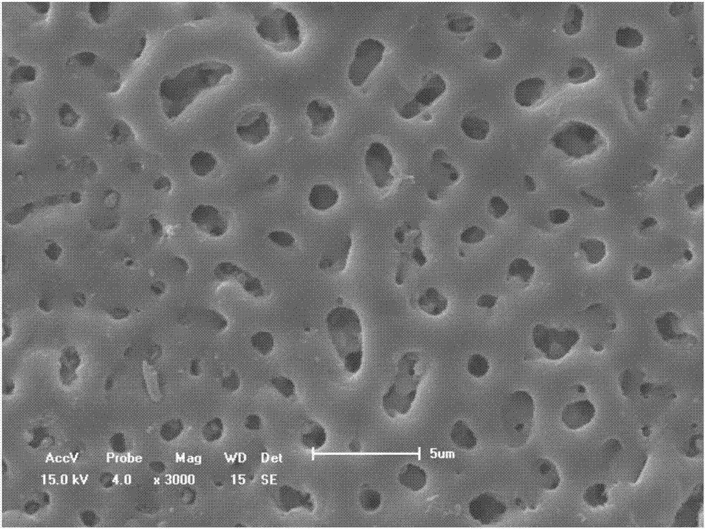 Method for coloring magnesium material micro-arc oxidation coating through weak acid dye