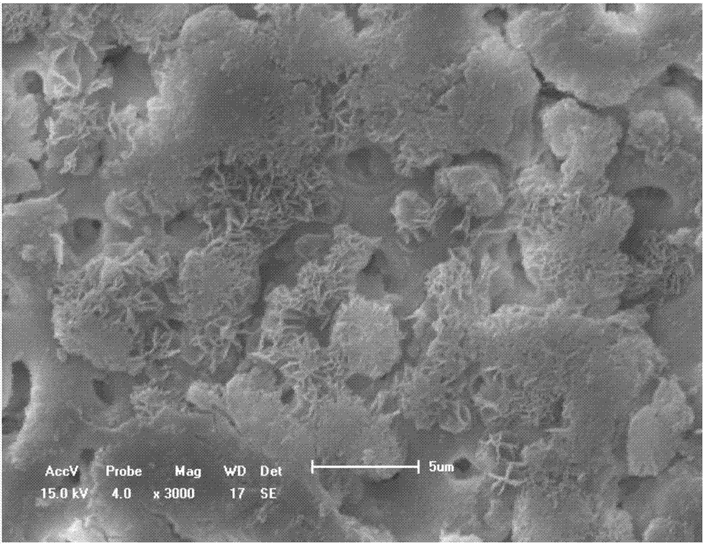 Method for coloring magnesium material micro-arc oxidation coating through weak acid dye