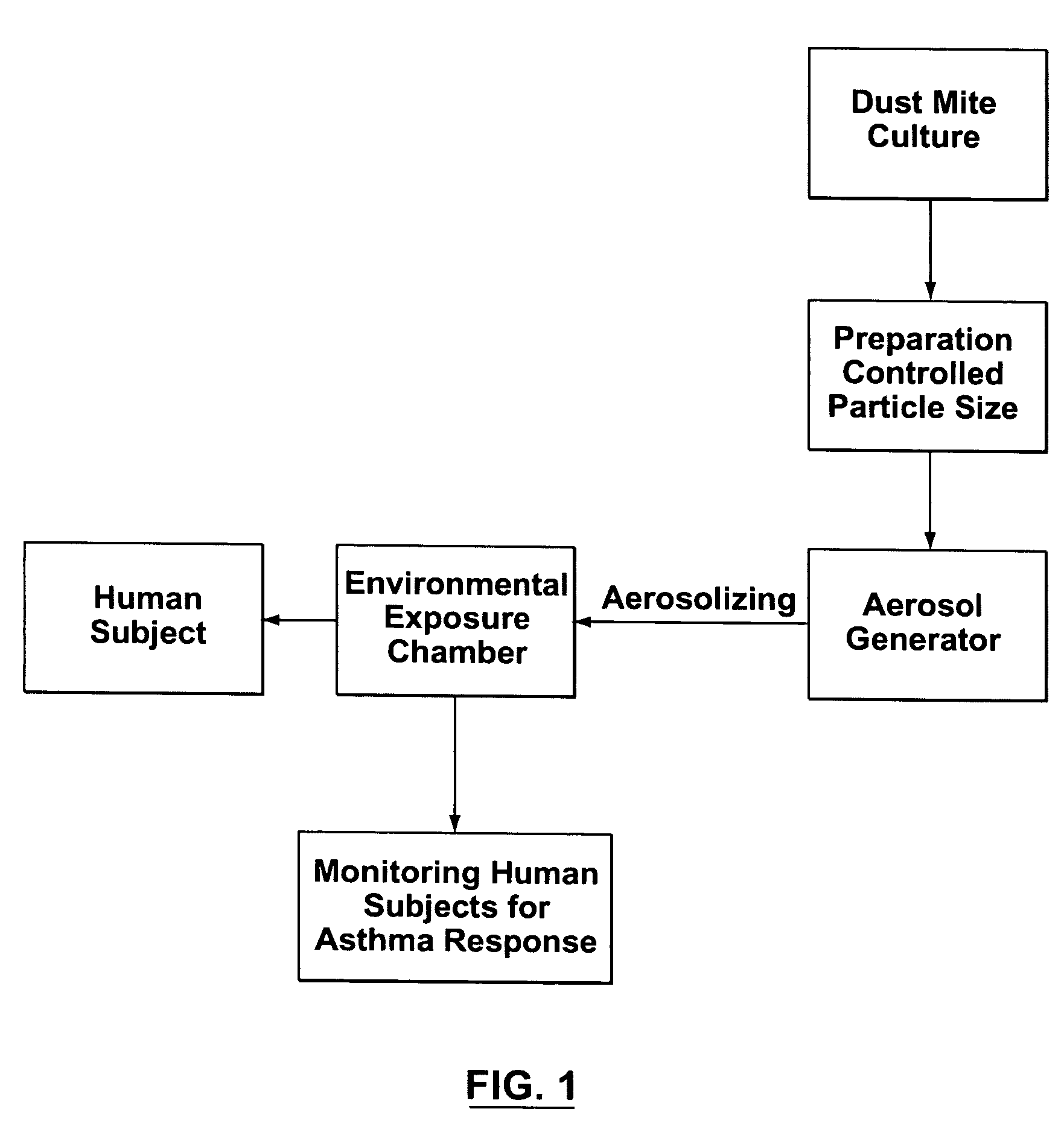 Method, materials and apparatus for investigating asthma using dust mite allergen