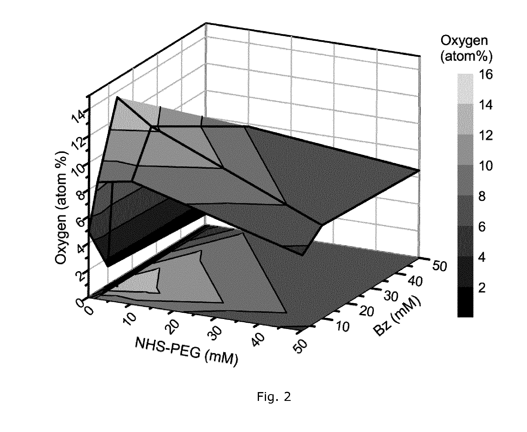 Method for applying a coating to a polymeric substrate