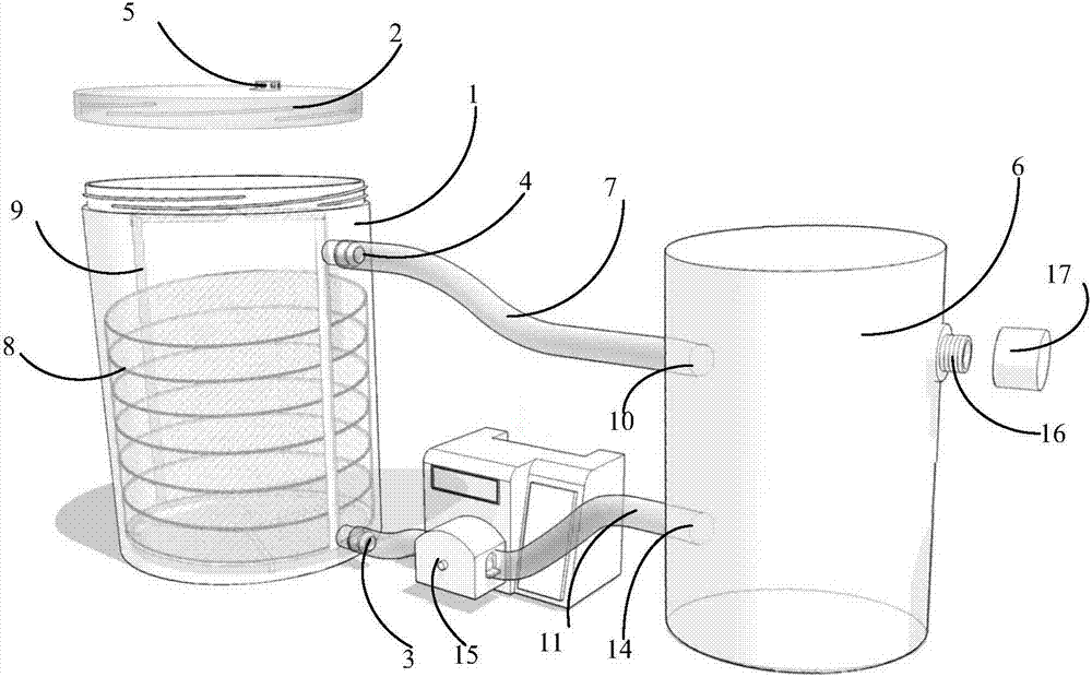 A kind of intermittent submerged lily scale multiplication and rapid propagation method