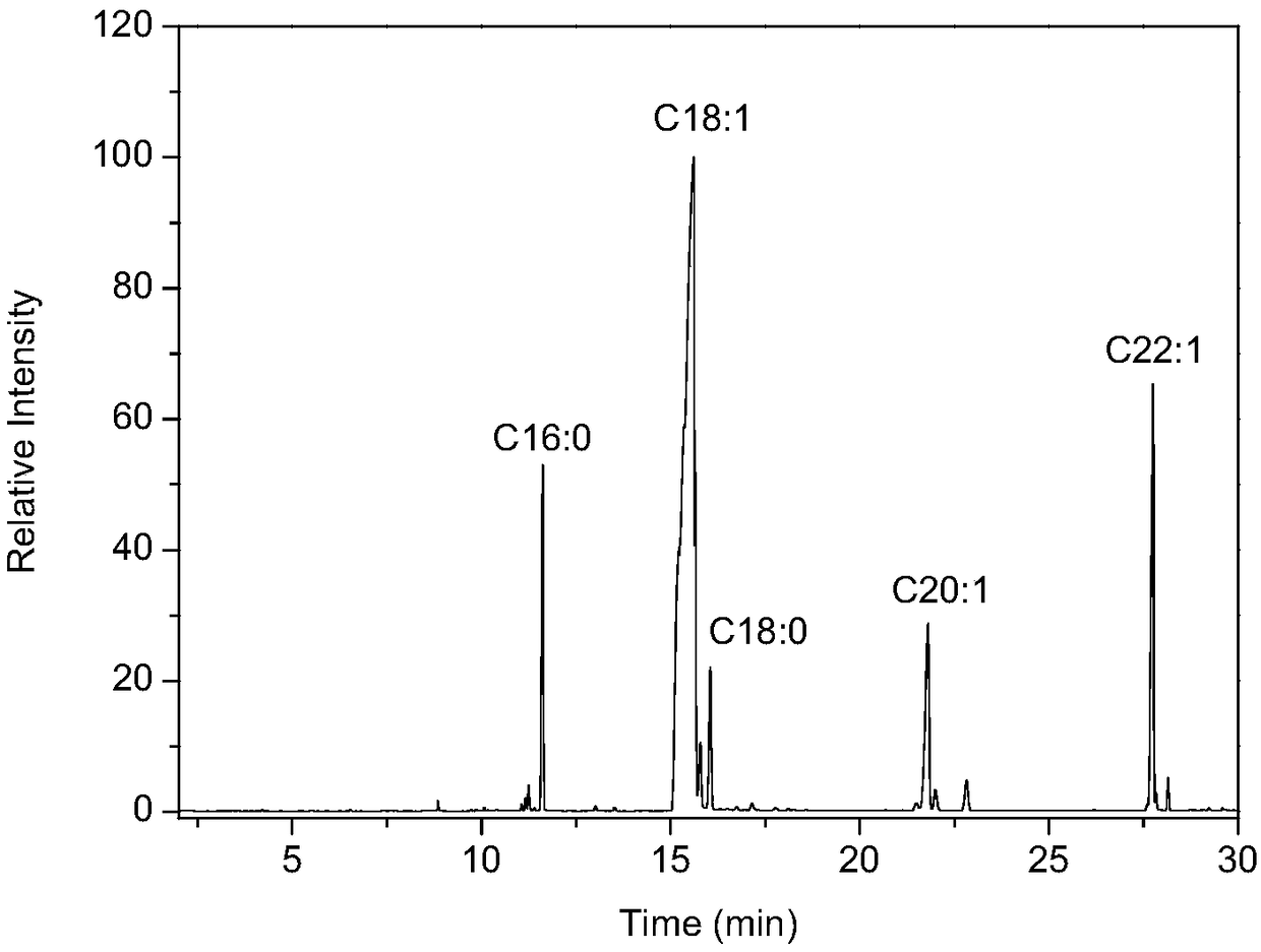 Low temperature synthesis method of kaliophilite catalyst used for preparation of biodiesel