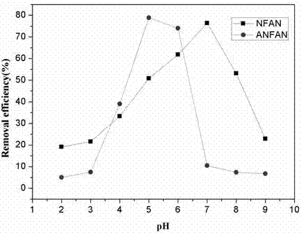 Preparation of amidoxime modified magnetic nano biological adsorbent and method for adsorbing low-concentration uranium by utilizing amidoxime modified magnetic nano biological adsorbent