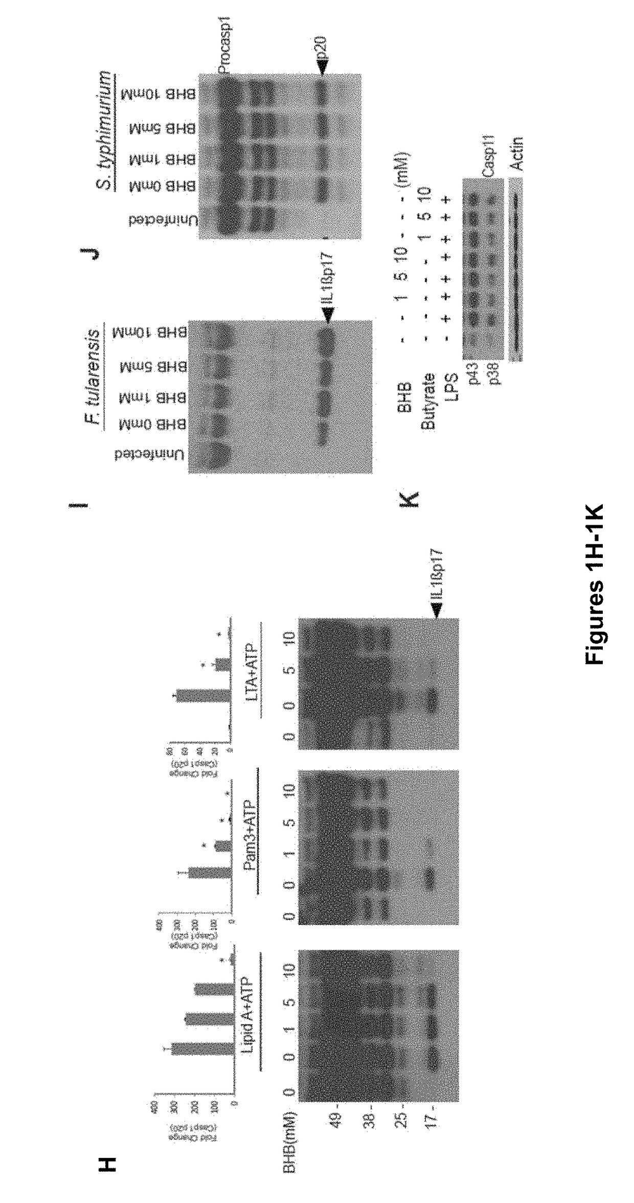Compositions and Methods for Treating NLRP3 Inflammasome-Related Diseases and Disorders