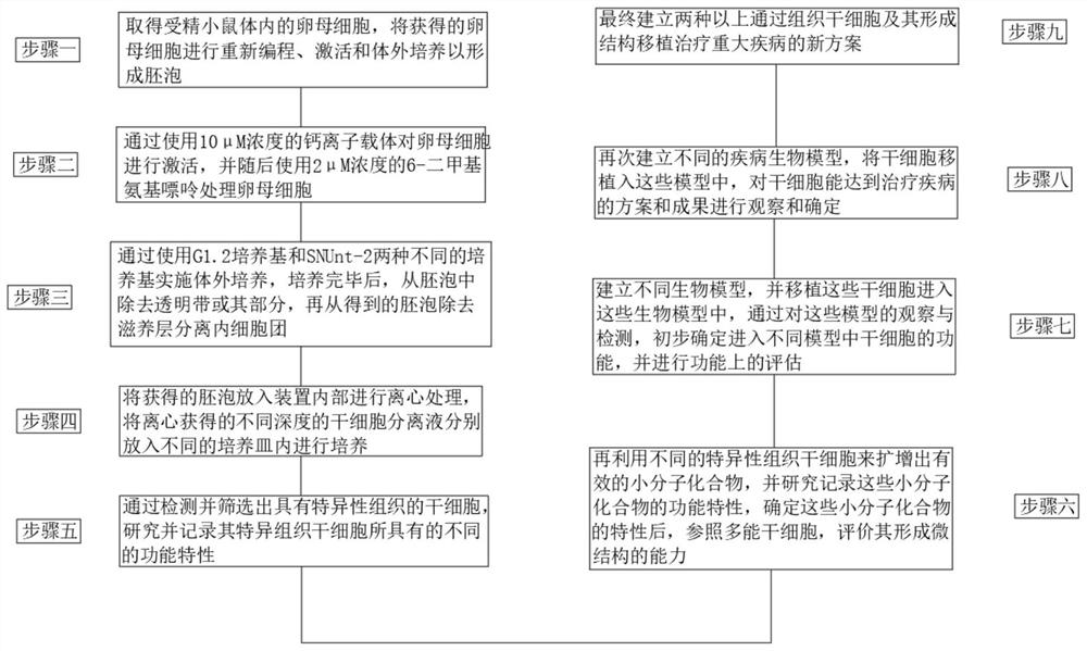 Tissue stem cell separation and function evaluation system