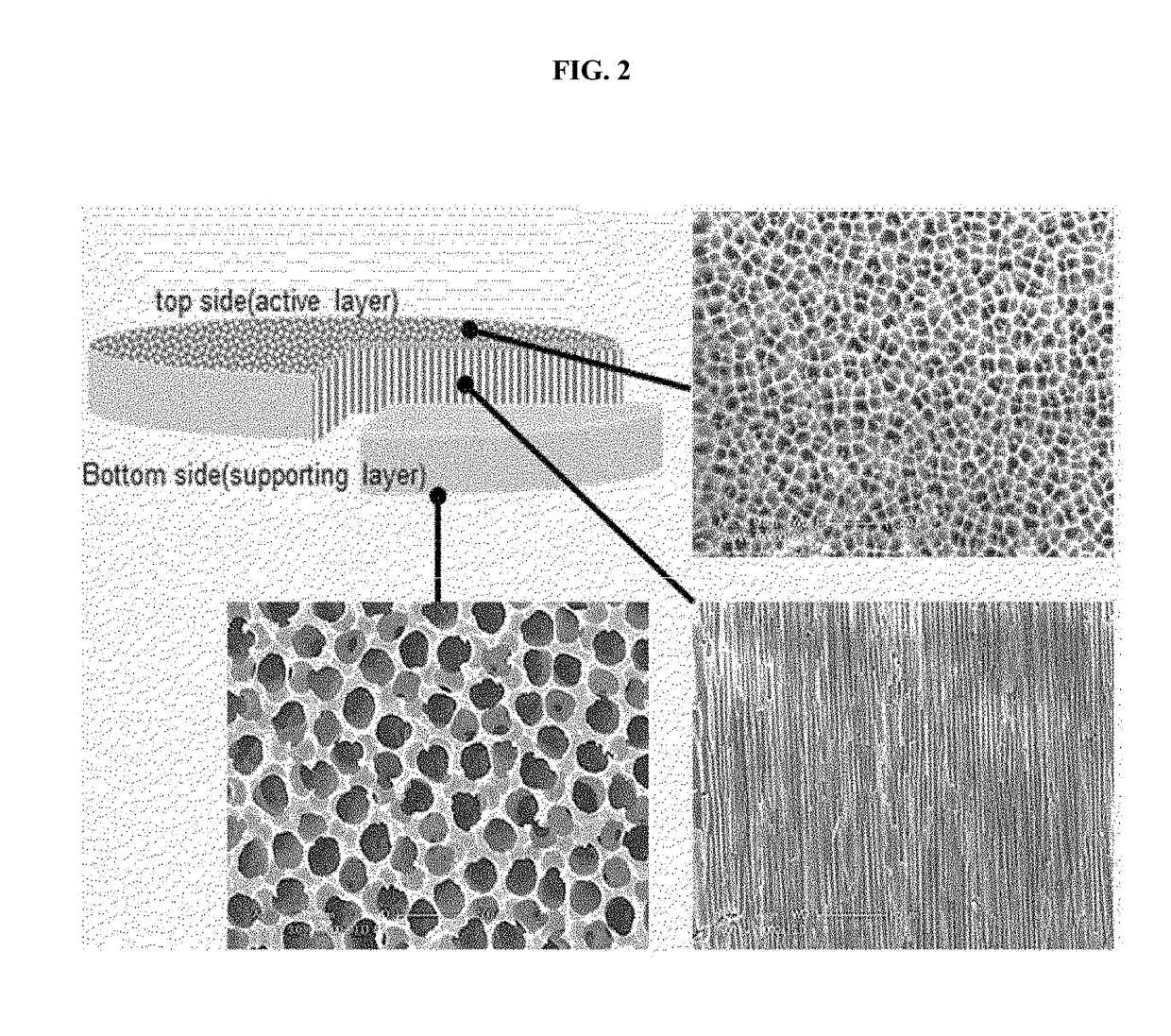 Micro nanoporous membrane, preparing method thereof and microfluidic device using thereof