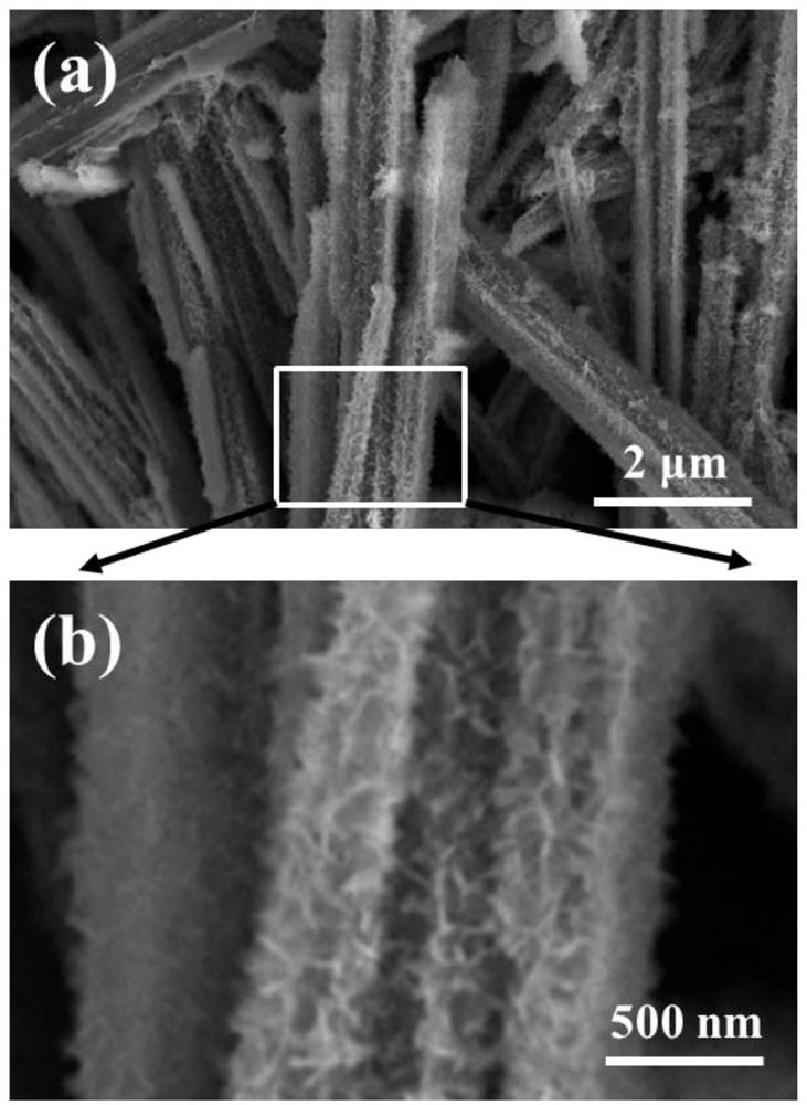 A kind of lithium titanate with linear hierarchical structure and its preparation method and application