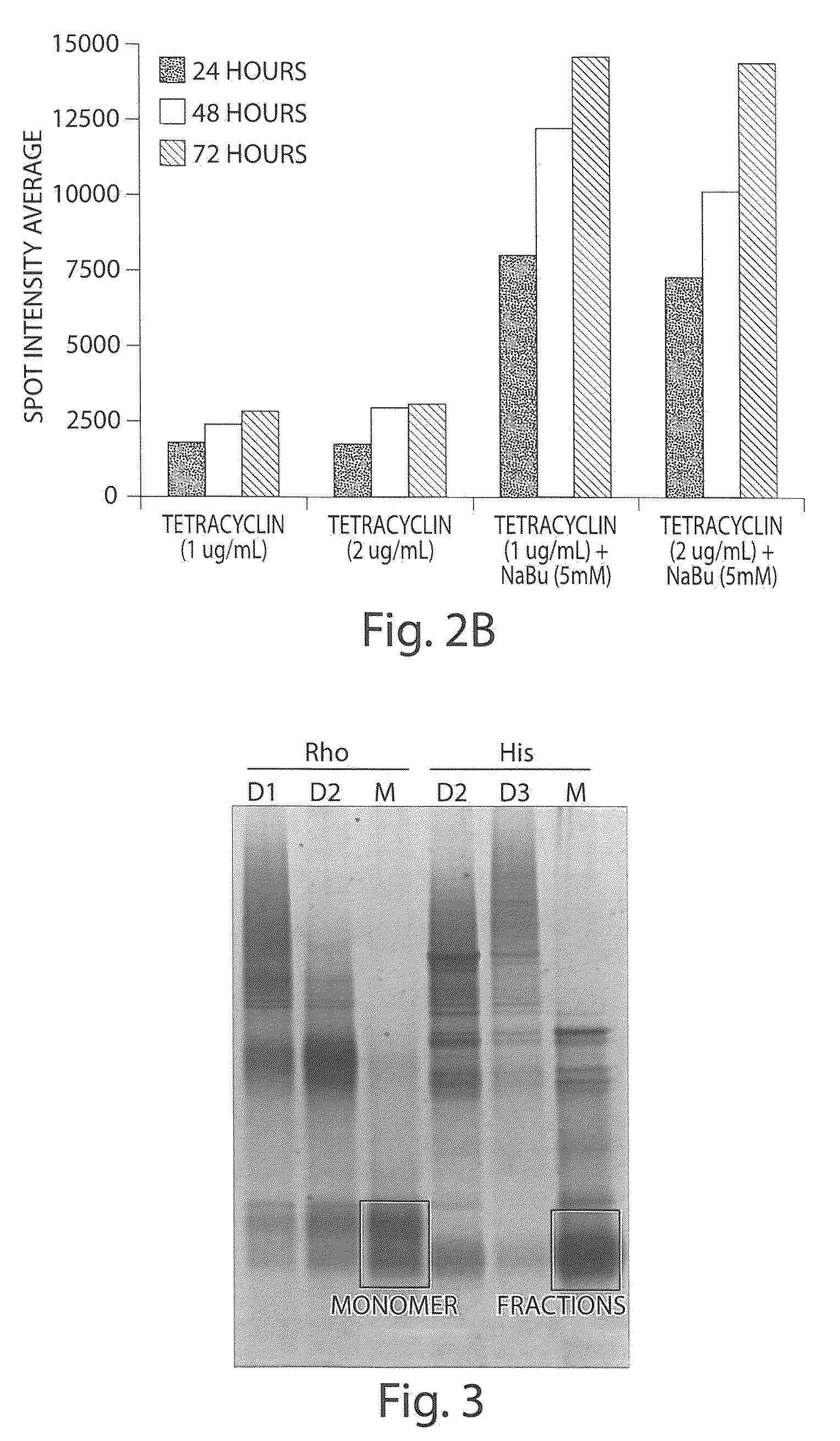 Multiplexed olfactory receptor-based microsurface plasmon polariton detector