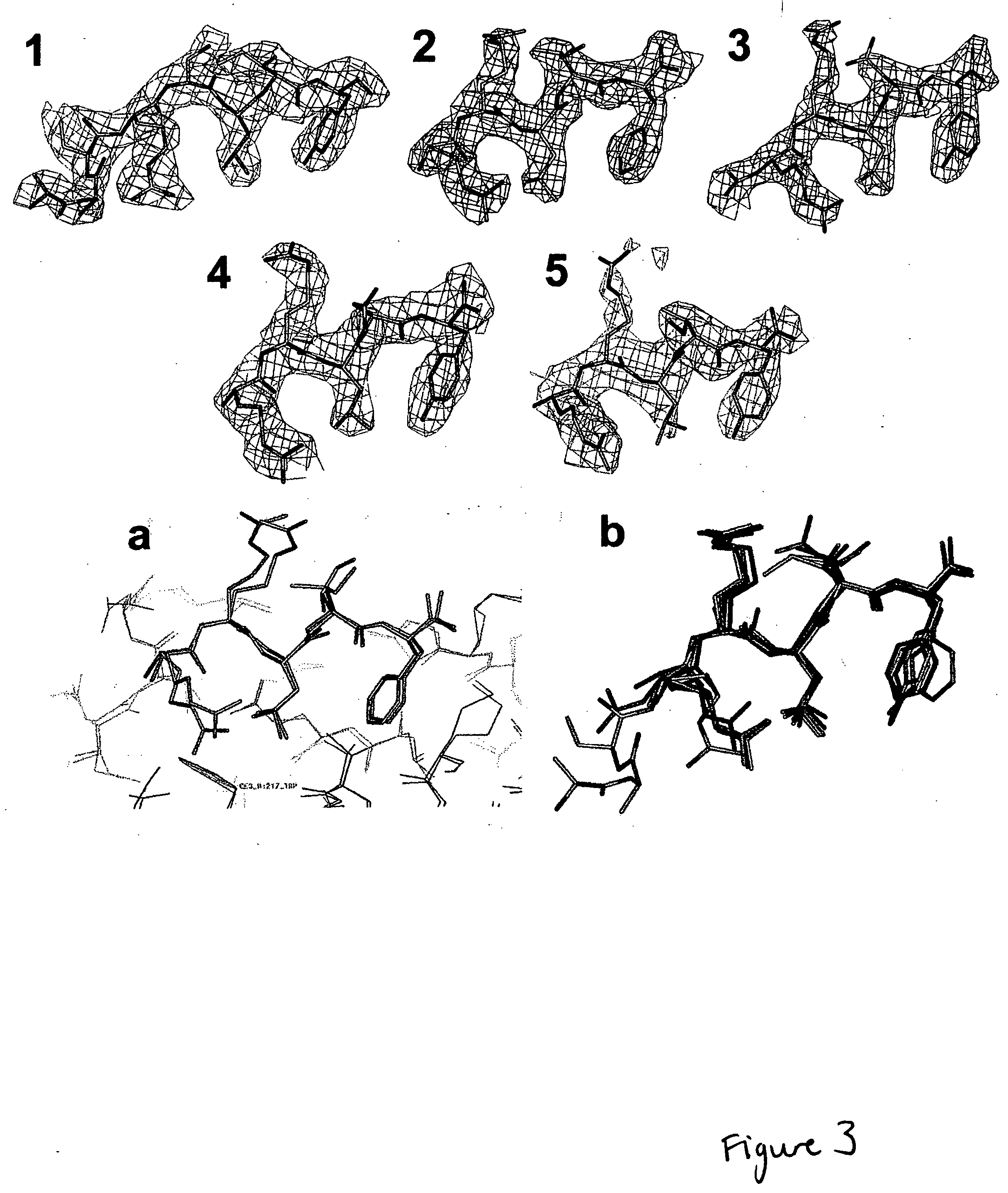 CDK2/cyclin A crystals and uses thereof