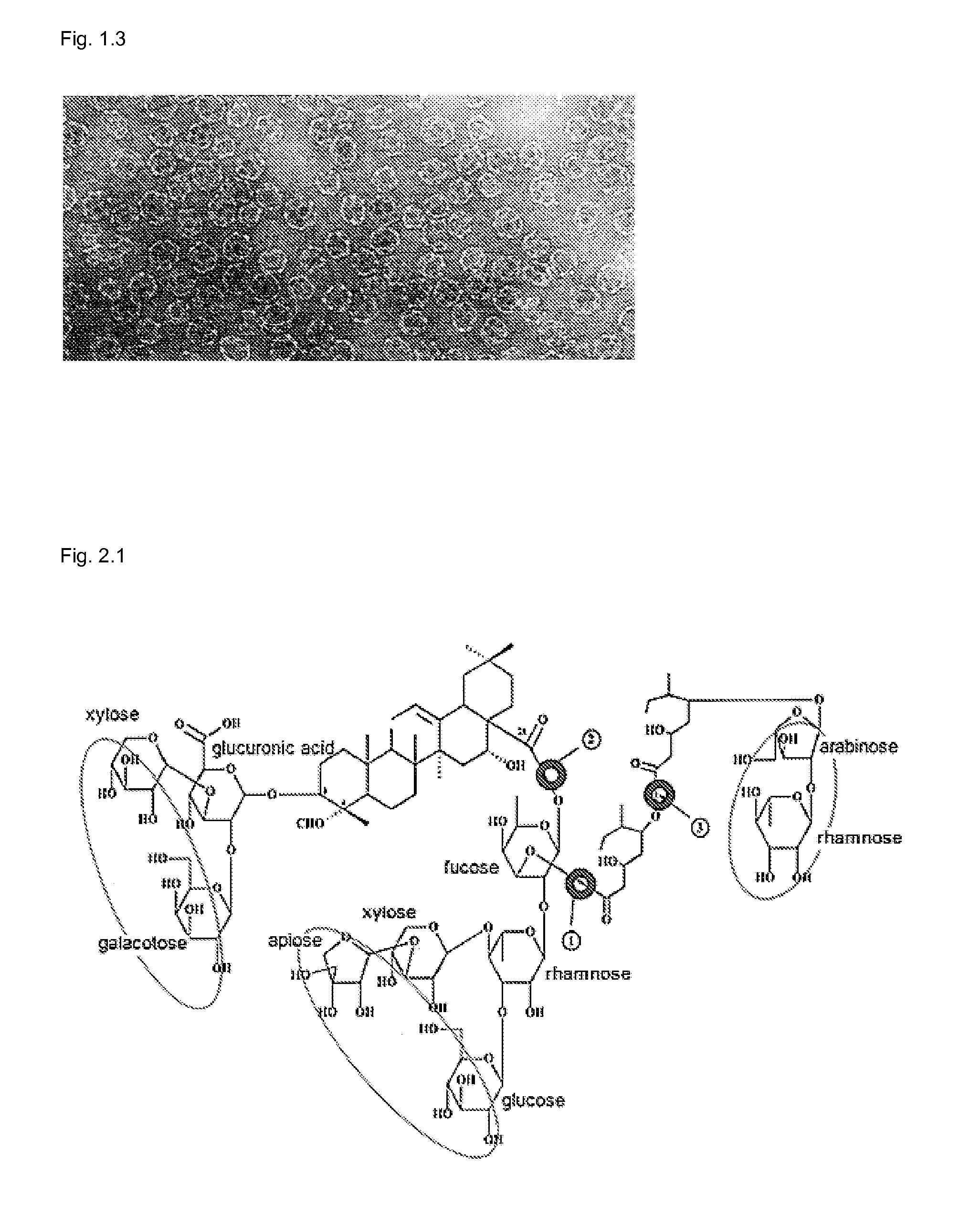 Use of lipid containing particles comprising Quillaja saponins for the treatment of cancer