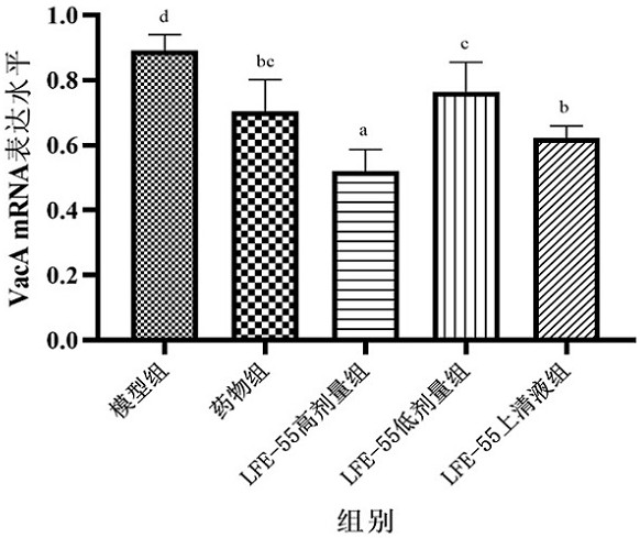 Lactobacillus fermentum for inhibiting helicobacter pylori and application thereof