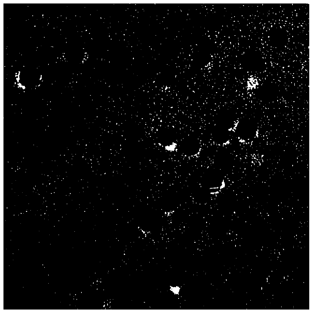 Solid fluorescent carbon dot, and preparation method and application thereof