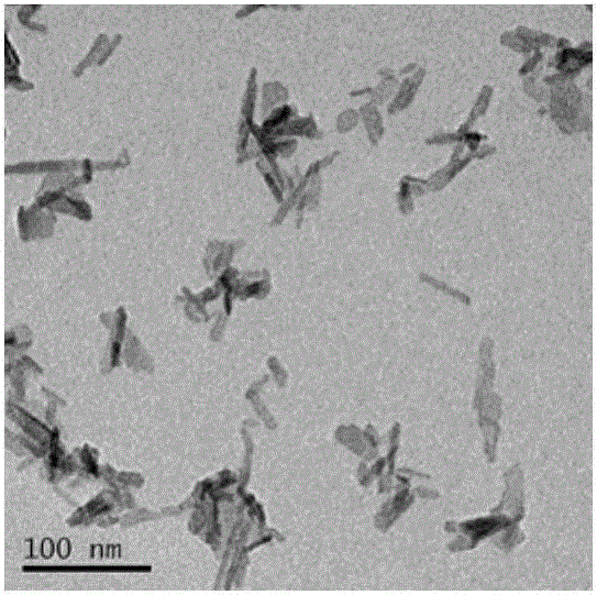 Oil-soluble hydroxyapatite nano-sheet preparation method