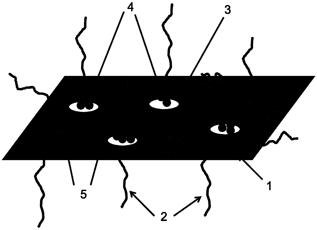 Long-acting antistatic composite chinlon fabric and preparation method thereof