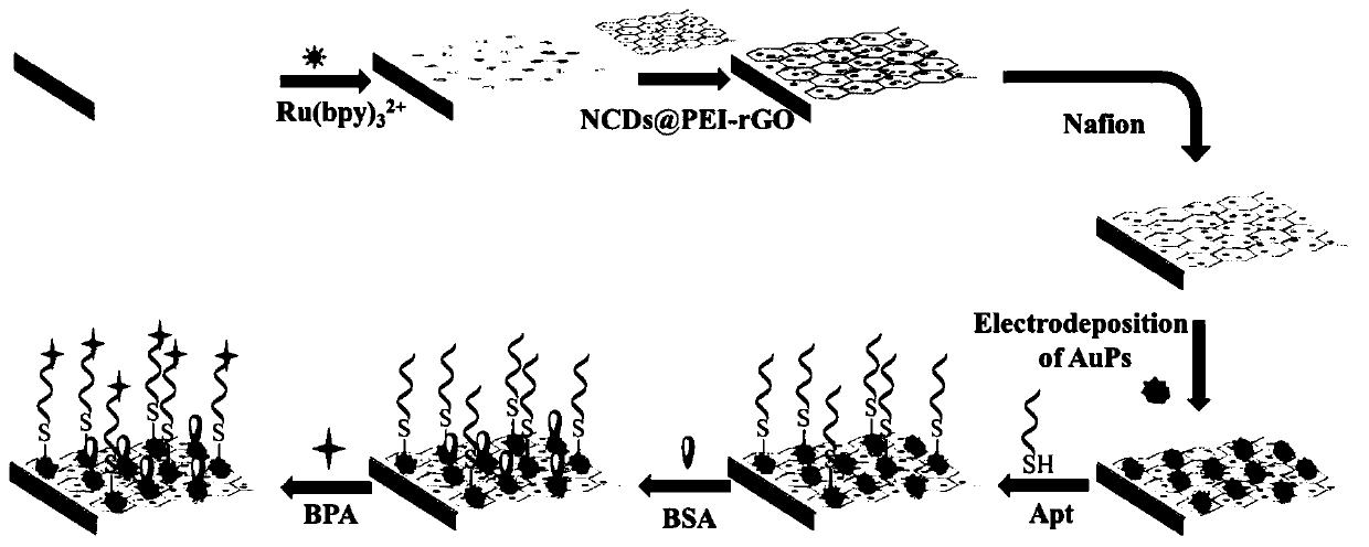 Preparation method and application of bisphenol A electrochemical luminescence aptamer sensor