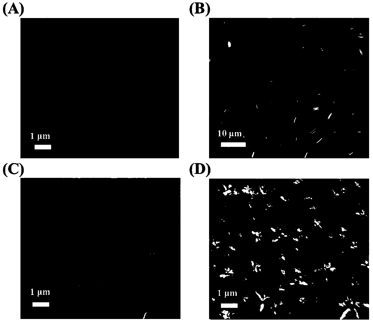 Preparation method and application of bisphenol A electrochemical luminescence aptamer sensor