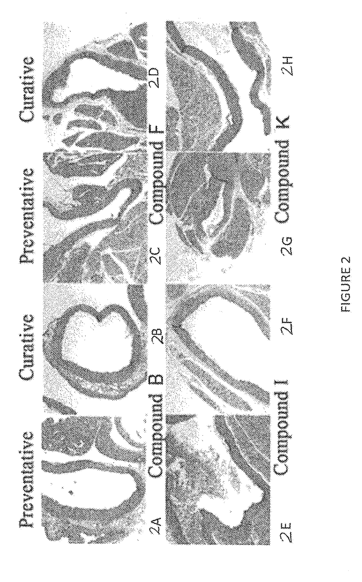 Methods and compositions for reversing disruption of the glycocalyx, inflammation, and oxidative damage
