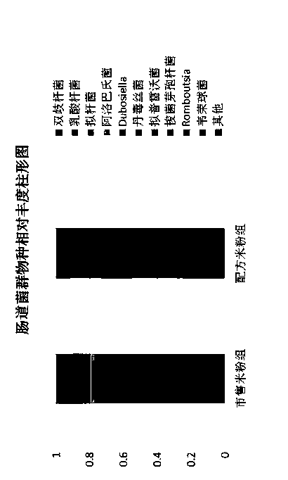 Instant accessory food capable of regulating intestinal flora of infants during weaning period and preparation method thereof