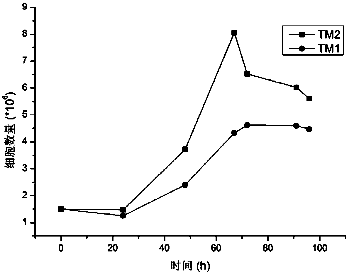 Method for isolated culture of mesenchymal stem cells from fetal membranes