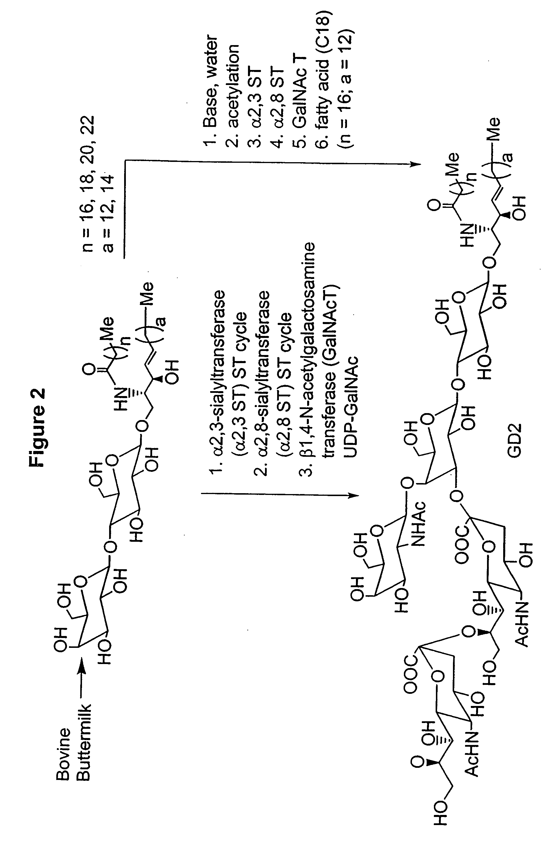 Methods and Compositions for the Enzymatic Synthesis of Gangliosides