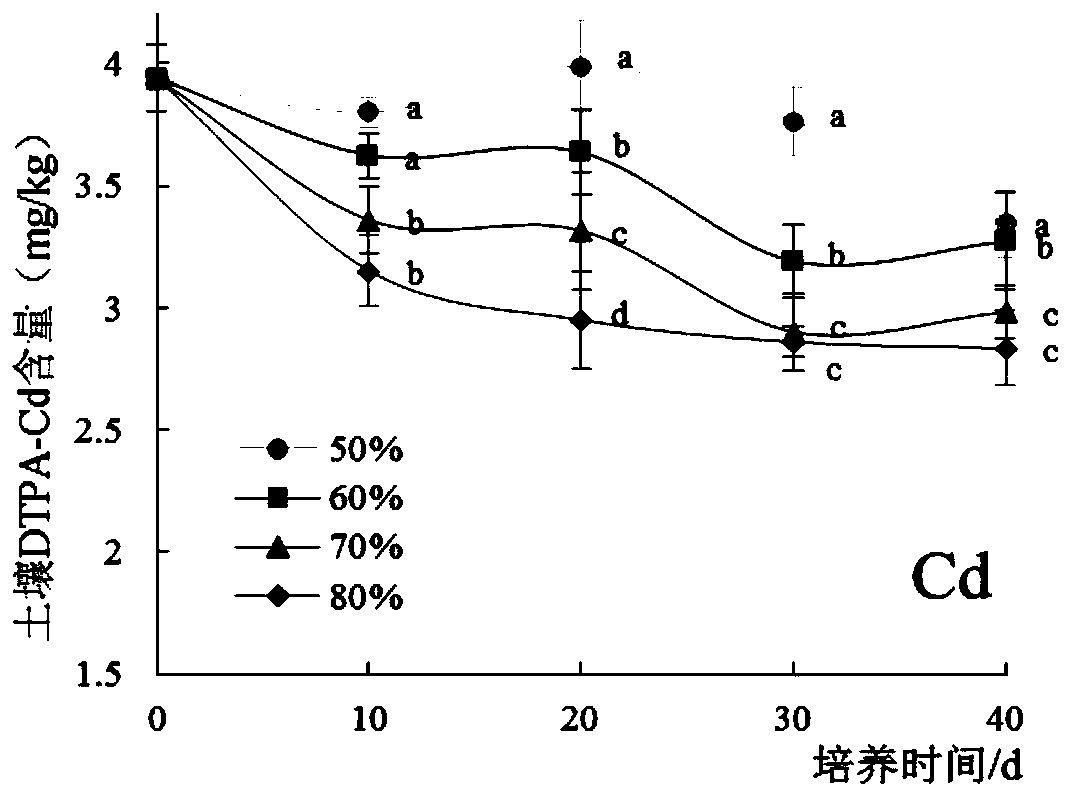 Heavy metal passivation repair method capable of removing passivator from soil