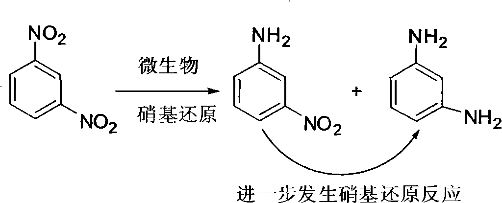 Conversion method for m-dinitrobenzene, process for producing meta-nitroaniline and m-phenylenediamine