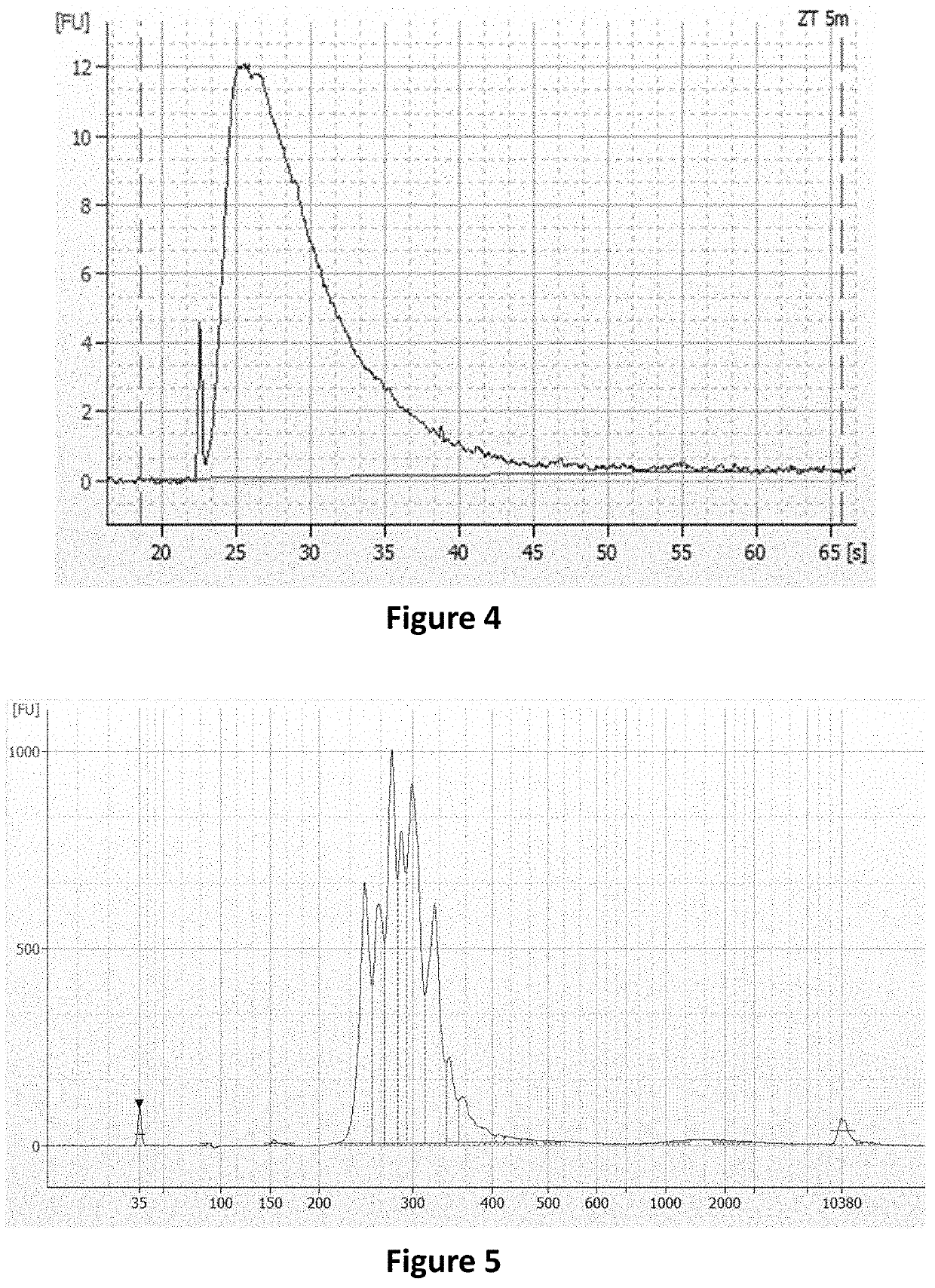 Methods and systems to amplify short RNA targets