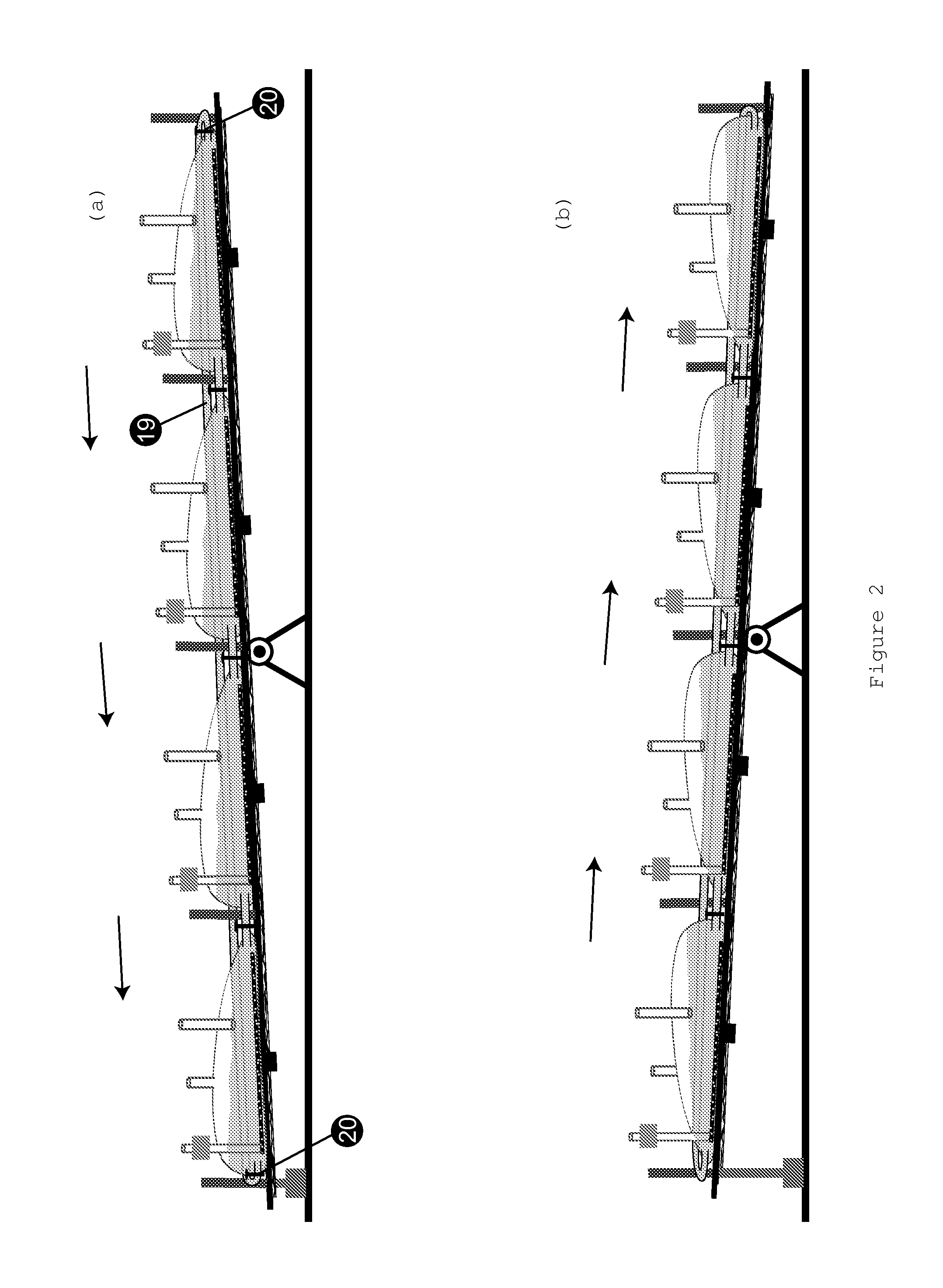 Interconnected Bioreactors