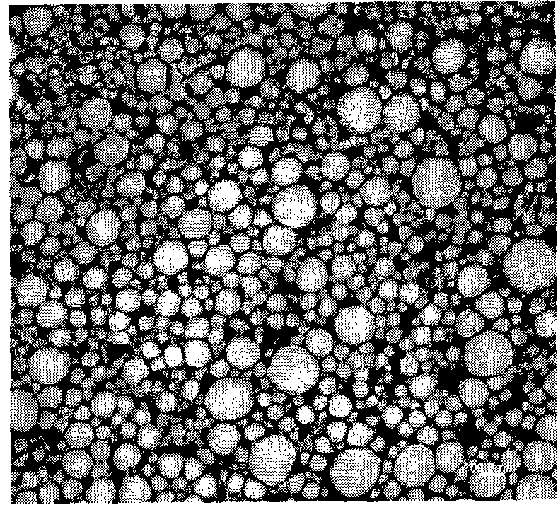 Cationic polymer nanoparticles encapsulating an active ingredients, and the cosmetic composition containing the same