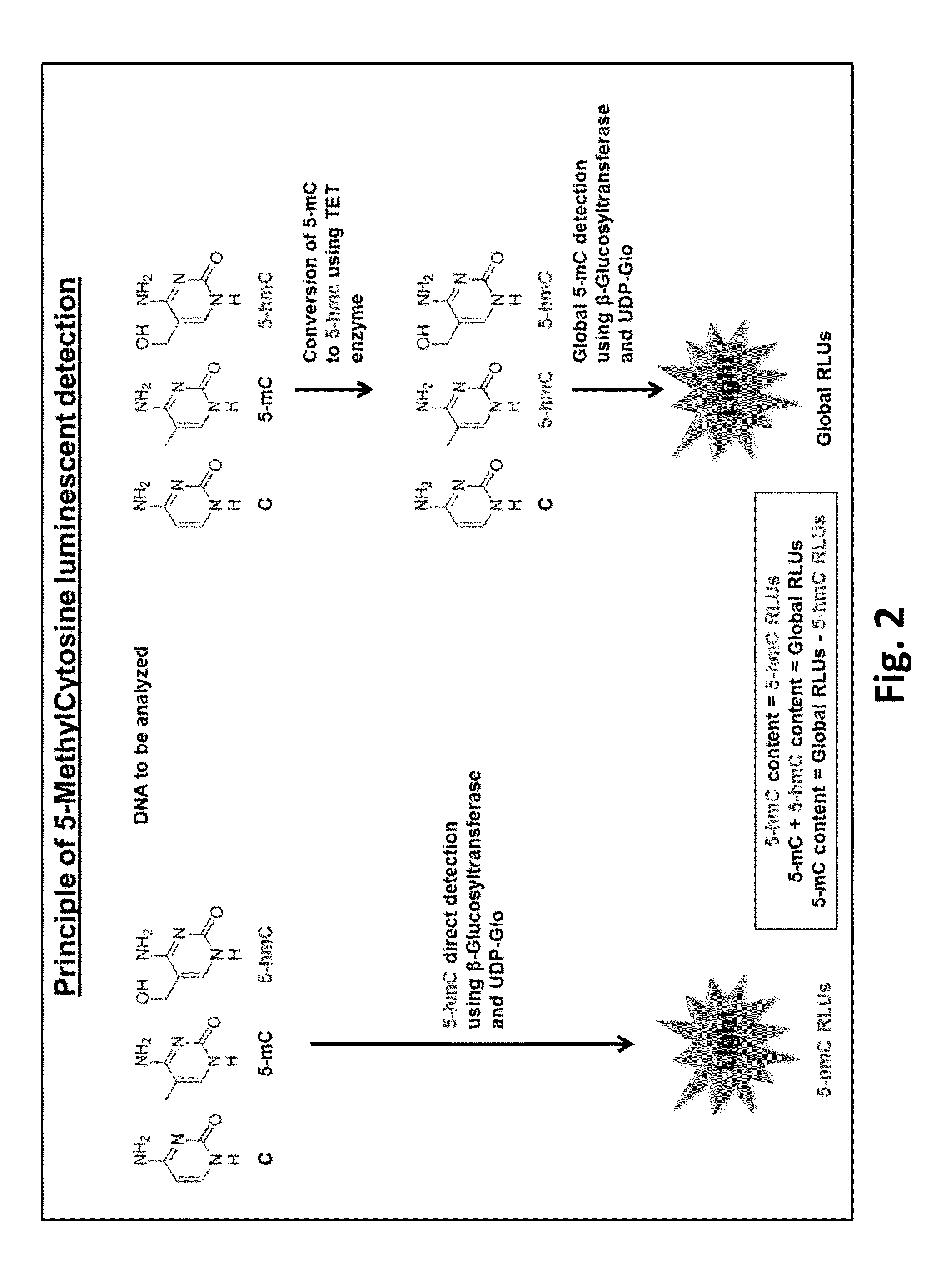 Method for quantifying 5-hydroxymethylcytosine