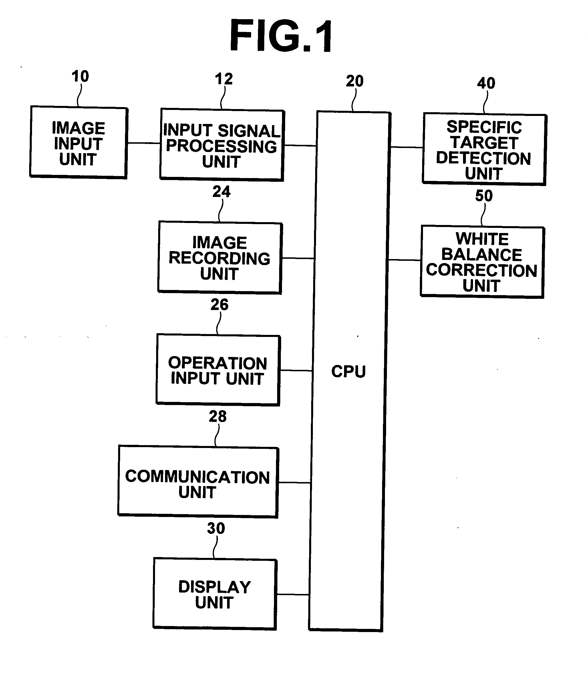 White balance correction apparatus and method
