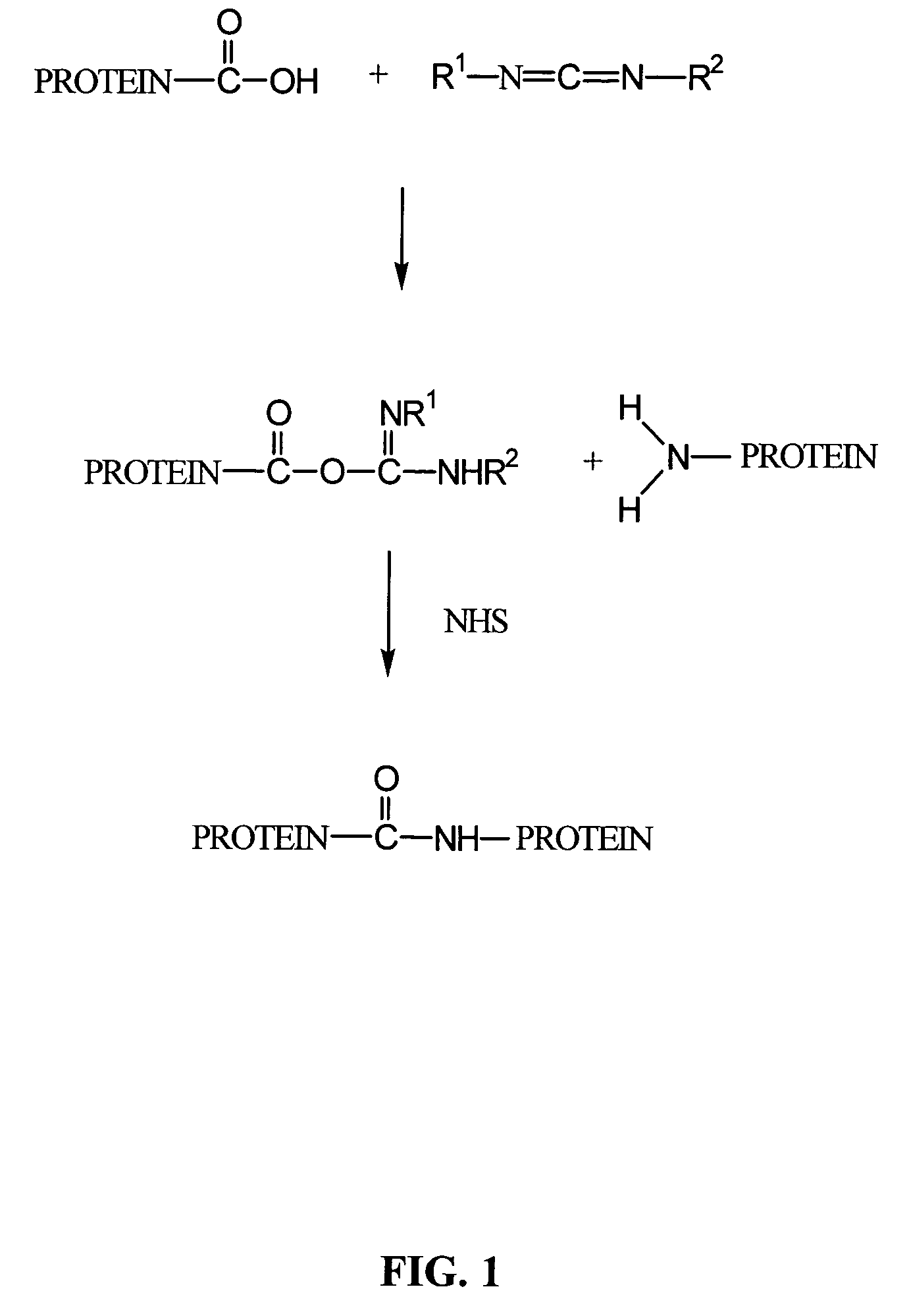Crosslinked compositions comprising collagen and demineralized bone matrix, methods of making and methods of use