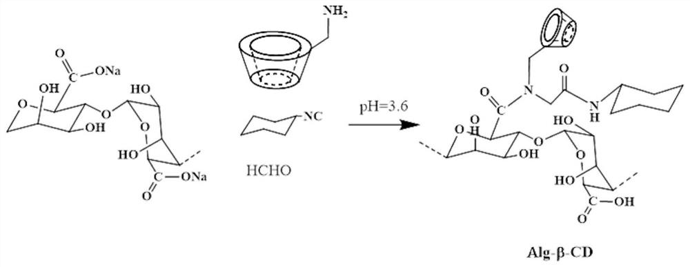 Method for preparing super-amphiphilic host-guest alginate-based anisotropic structure soft substance