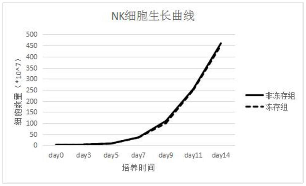 Human peripheral blood immune cell cryopreservation efficient stabilizer, application and cryopreservation method