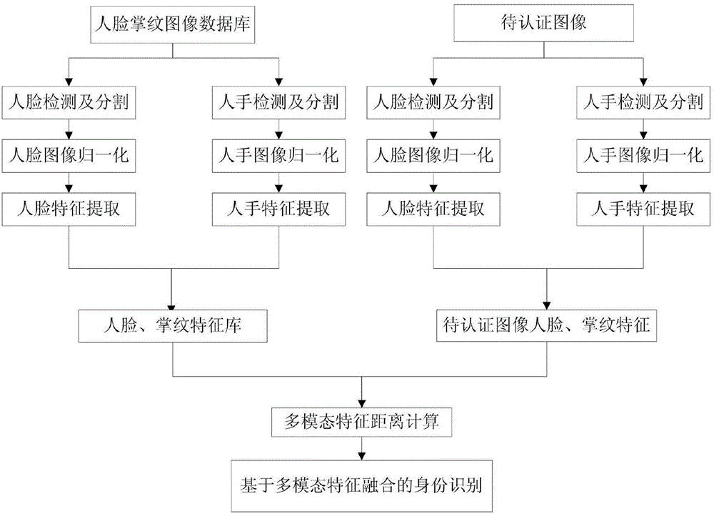 Identity recognition method based on fusion of face characteristic and palm print characteristic