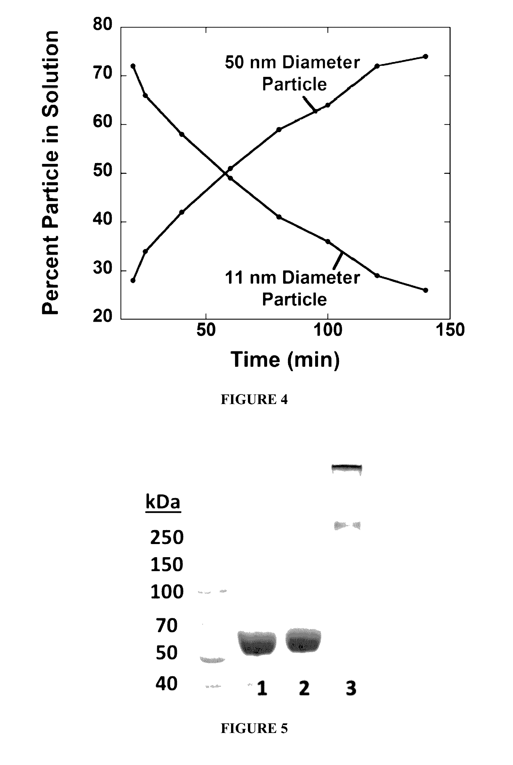 Protein fluorescent nanoparticles and methods of synthesis thereof