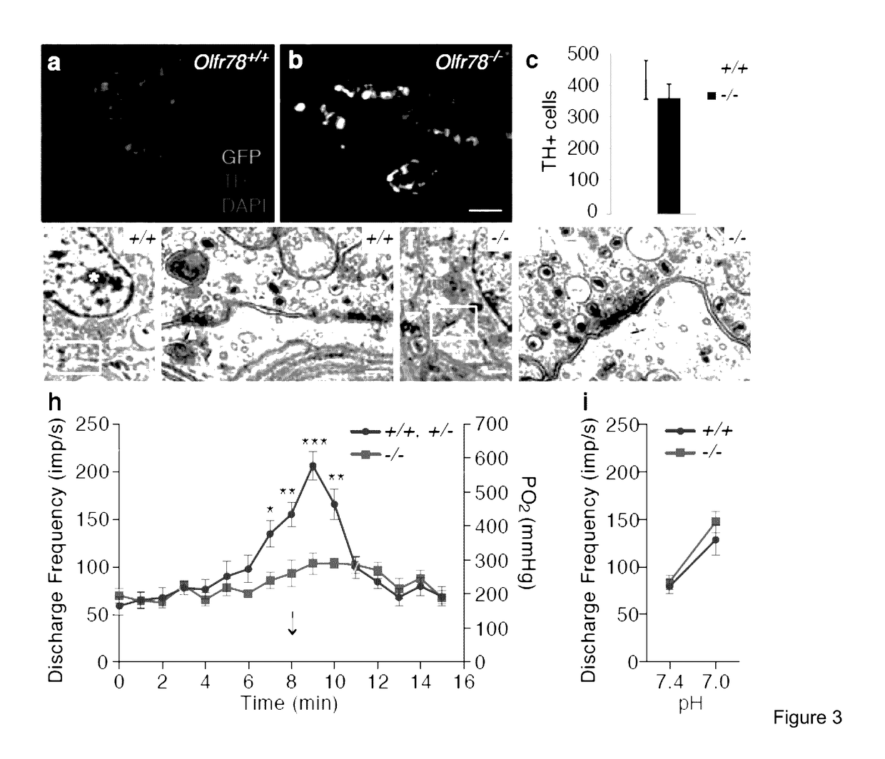 Compositions and methods that target olfactory receptors for regulation of breathing