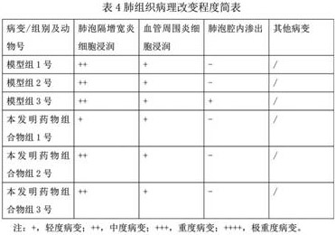 Application of traditional Chinese medicine composition in preparation of anti-SARS (severe acute respiratory syndrome) virus medicine