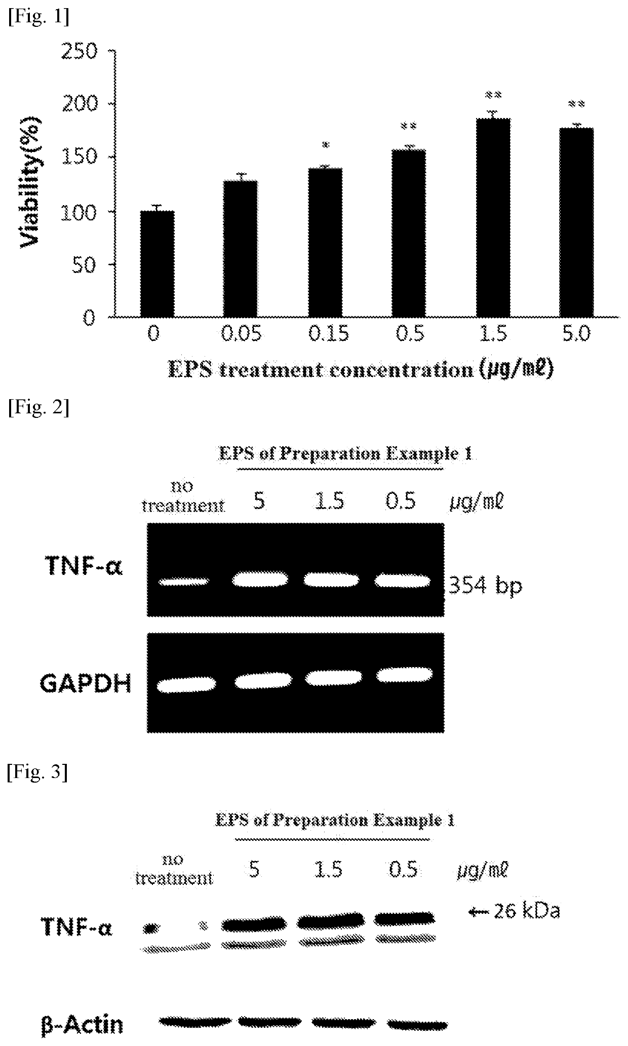 Composition containing extracellular polysaccharide produced by ceriporia lacerata as active ingredient for immunoregulation