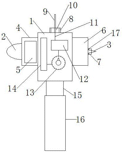 Neurological examination device