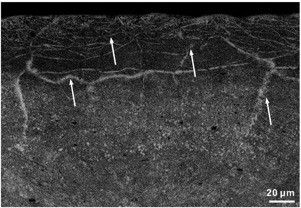 Observation method for internal shear band of AZ31 magnesium alloy