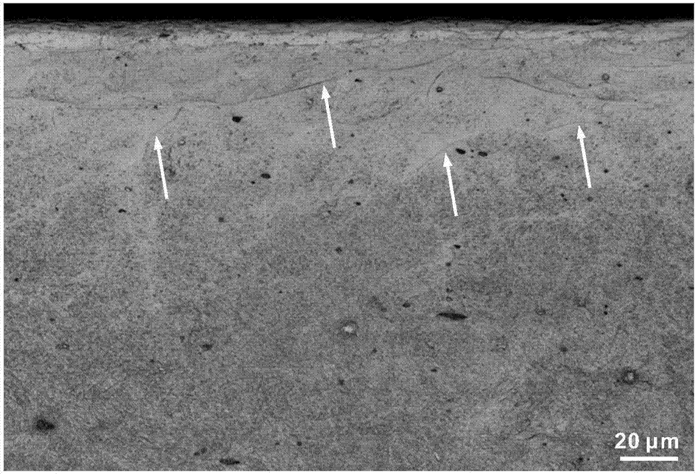 Observation method for internal shear band of AZ31 magnesium alloy