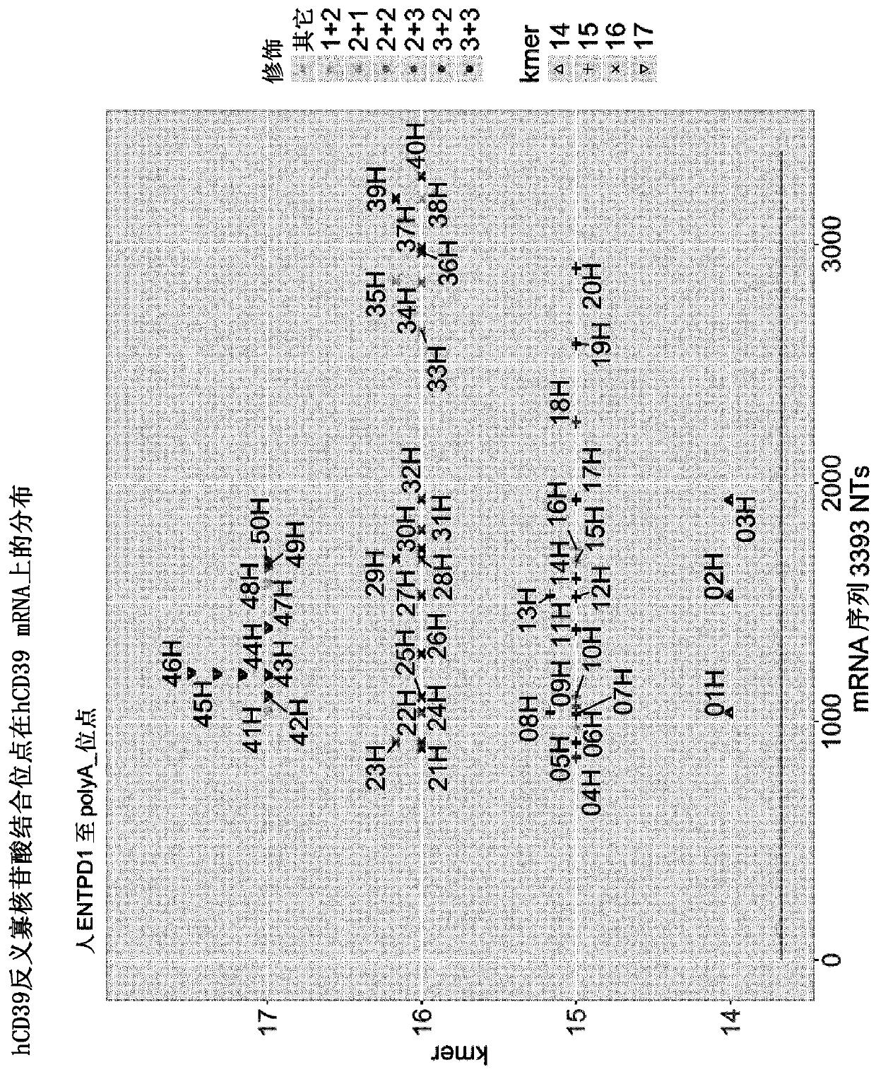 Immunosuppression-reverting oligonucleotides inhibiting the expression of cd39