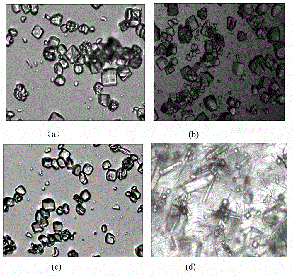 Method for regulating and controlling bioactivity of lysozyme based on induced crystallization effect of ionic liquid