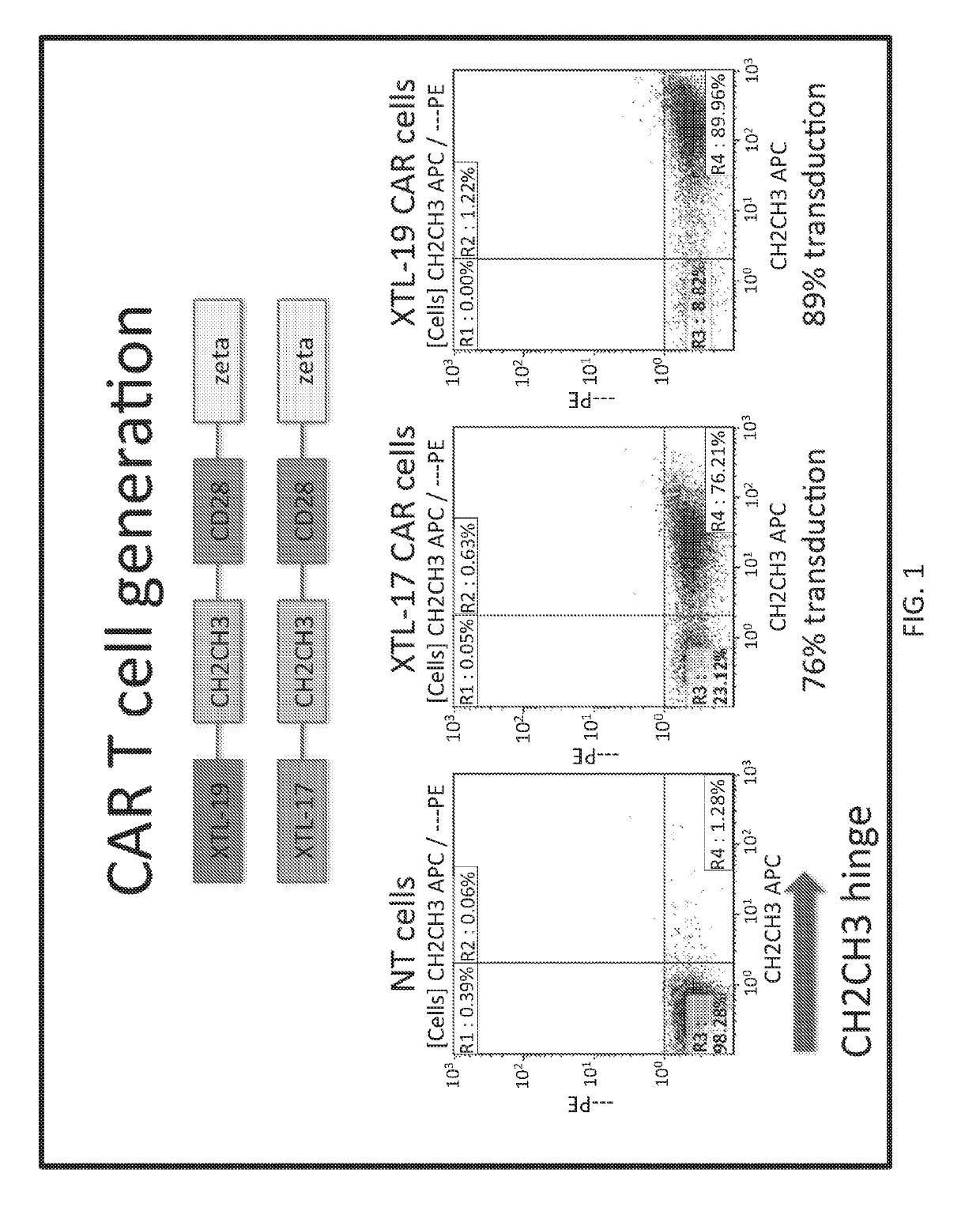 Chimeric antigen receptor therapy with reduced cytotoxicity for viral disease