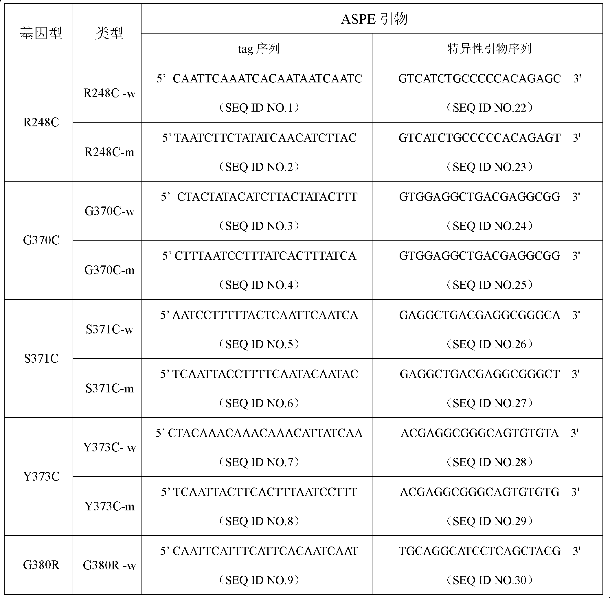 FGFR3 gene mutation detection specific primer and liquid chip