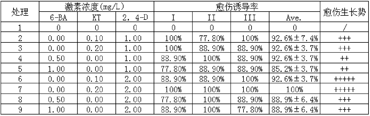 A method for improving the callus induction rate of Acorus japonica